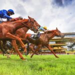 Best betting app for horse racing